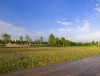 随州市十项工程掀城乡绿色革命建设新高潮