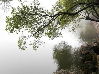随州市大洪山风景名胜区——白龙池