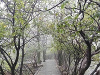 随州市大洪山风景名胜区——白龙池