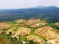 赏随州秋色 阅随城风貌