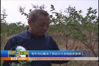 扶贫点引进种植产业  助困难户就业谋生