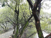 随州市大洪山风景名胜区——白龙池