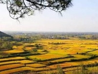 赏随州秋色 阅随城风貌