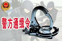 湖北警方重金悬赏十大逃犯 含1名随州逃犯
