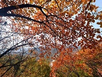 踏寻缤纷秋韵 赏随州秋季美景 