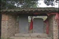 银杏谷“封山育林”碑  见证当地环境保护传统