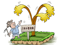 “三权分置” 是农村土地产权制度的重大创新