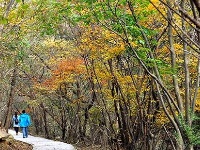 踏寻缤纷秋韵 赏随州秋季美景 