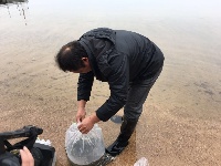 快讯|2016年随州市举行渔业资源增殖放流活动