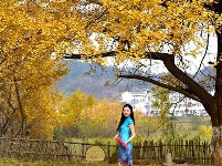 踏寻缤纷秋韵 赏随州秋季美景 