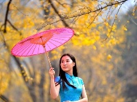 踏寻缤纷秋韵 赏随州秋季美景 