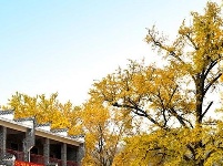 踏寻缤纷秋韵 赏随州秋季美景 