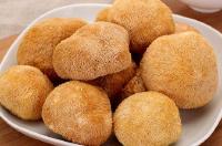 九口堰蘑菇合作社灾后重建初见成效