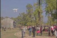 千年银杏谷迎来黄金旅游季