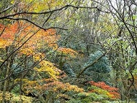 踏寻缤纷秋韵 赏随州秋季美景 