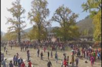 千年银杏谷：“金色魅力”吸引游人 团队游成主力