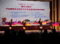 首届旅游形象大使决赛现场图