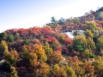 踏寻缤纷秋韵 赏随州秋季美景 