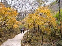 踏寻缤纷秋韵 赏随州秋季美景 