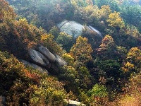 踏寻缤纷秋韵 赏随州秋季美景 