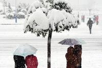 随城做好低温雨雪天气防灾减灾工作 