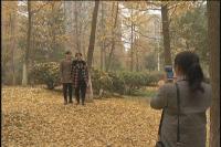 随州秋意|赏白云湖旁滨湖风光