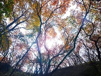 踏寻缤纷秋韵 赏随州秋季美景 