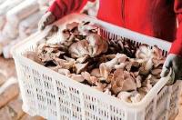 【裕国大事件】新三板创新层名单出炉裕国股份首批闯入“优等生”俱乐部