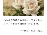 感恩一路上陪伴过我们的人！