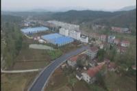 洛阳千年银杏谷旅游景点带动交通发展 道路扩建改善旅游环境