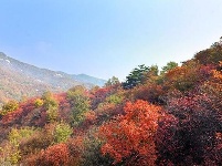 踏寻缤纷秋韵 赏随州秋季美景 