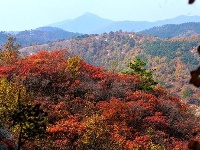 踏寻缤纷秋韵 赏随州秋季美景 
