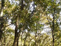 大洪山|随州旅游形象大使15强 导游能力大比拼
