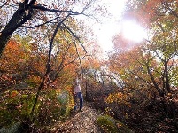 踏寻缤纷秋韵 赏随州秋季美景 