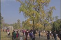 千年银杏谷旅游旺季首个周末迎客2万余人