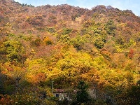 踏寻缤纷秋韵 赏随州秋季美景 