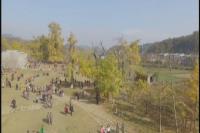 千年银杏谷秋意盎然 旅游热度持续升温