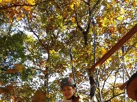 大洪山|随州旅游形象大使15强 导游能力大比拼