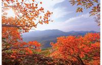 刘晓鸣：发展全域旅游 带动脱贫致富