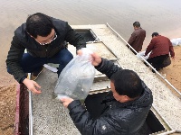 快讯|2016年随州市举行渔业资源增殖放流活动