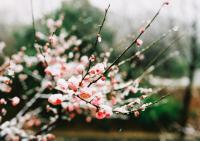 今冬初雪将至 随州最低温将降至-7℃