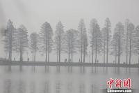 湖北发大雾和霾黄色预警 局地能见度不足200米