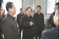 王晓东到我市调研时强调：坚持稳中求进工作总基调 不断进取开辟发展新境界