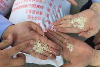 随州市民买米注意了 越缅廉价大米销往湖北