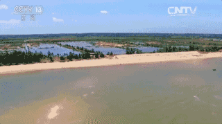 厉害了我的中国！袁隆平用海水种出“红色水稻”震惊世界！