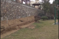 小区业主任性违建 欲将绿地变私宅