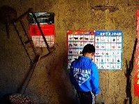 父母去世，孤儿兄弟家里只剩15个土豆