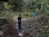 父母去世，孤儿兄弟家里只剩15个土豆