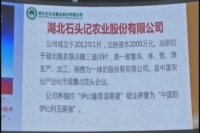 生态农业公司“石头记”正式登陆湖北四板