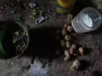 父母去世，孤儿兄弟家里只剩15个土豆